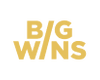 BigWins Casino