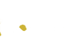 Boomerang Casino