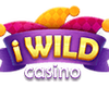 iWild Casino