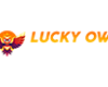 Lucky Owl Club