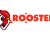 Rooster Bet