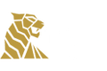 TigerSpin Casino