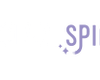 Velvet Spin
