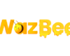 Wazbee Casino