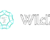 Wild7 Casino