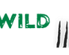 Wild Casino