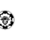 WSM Casino